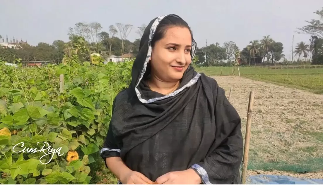 Жыныстық серіктестер саны Гей порно және секс